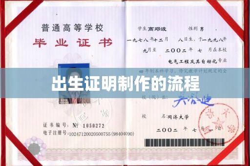 岱岳出生证明制作的流程