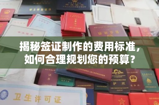 岱岳揭秘签证制作的费用标准，如何合理规划您的预算？