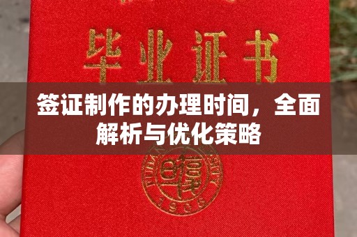岱岳签证制作的办理时间，全面解析与优化策略