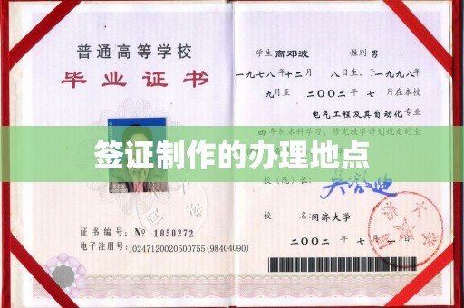 岱岳签证制作的办理地点