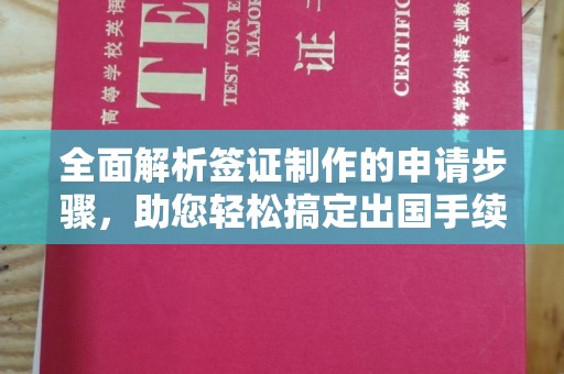 岱岳全面解析签证制作的申请步骤，助您轻松搞定出国手续