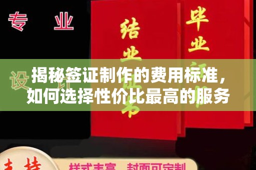岱岳揭秘签证制作的费用标准，如何选择性价比最高的服务？