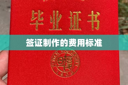 岱岳签证制作的费用标准