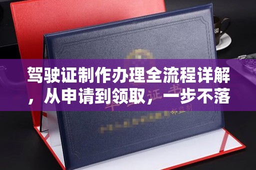 岱岳驾驶证制作办理全流程详解，从申请到领取，一步不落
