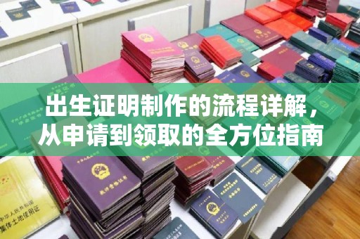 岱岳出生证明制作的流程详解，从申请到领取的全方位指南
