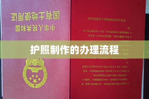 岱岳护照制作的办理流程